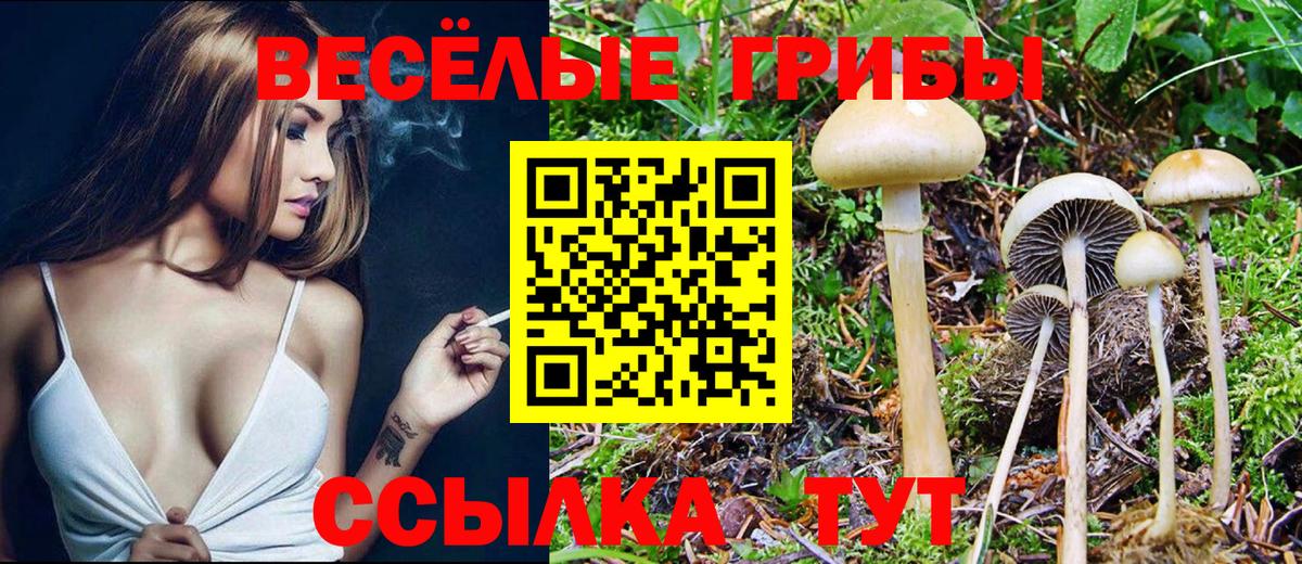 Галлюциногенные грибы Psilocybe  Псилоцибиновые грибы мухоморы  Вход с VPN  Партизанск 